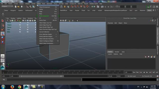 Autodesk Maya 2014 : Основы Основ