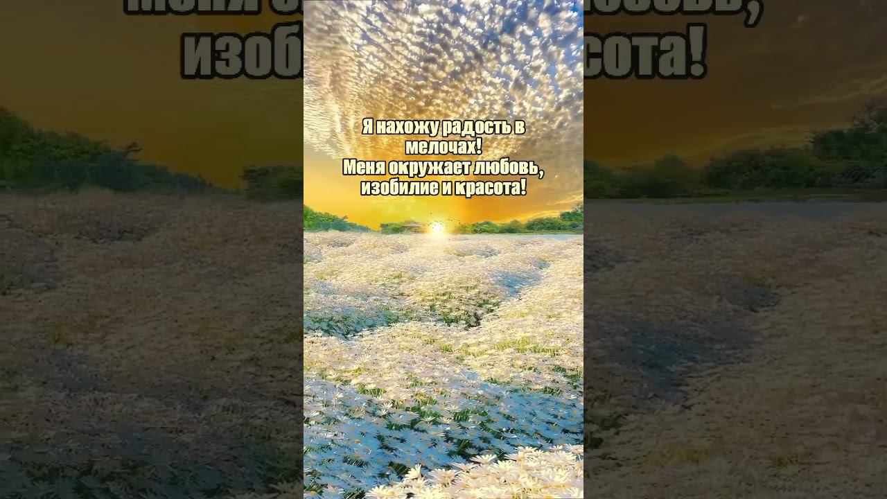 Я нахожу радость в мелочах ❤️ #аффирмации#любовь#жизнь #душа #изобилие#психология #богатство #магия смотреть онлайн