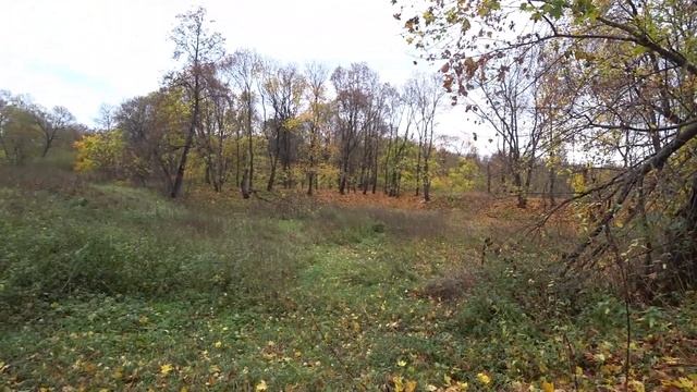 Путешествие в заброшенную историю/3-тий сезон 4-тый выпуск/Усадьба Троице-Лобаново