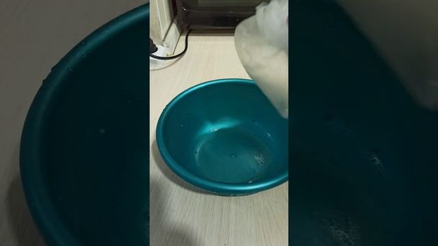 Современные Инструментальные Мелодии