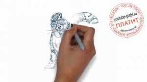 Как легко и быстро нарисовать пятнистого леопарда карандашом за 26 секунд