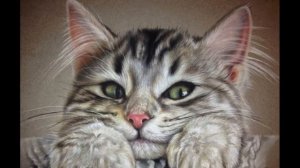 Кошка вернулась после смерти!