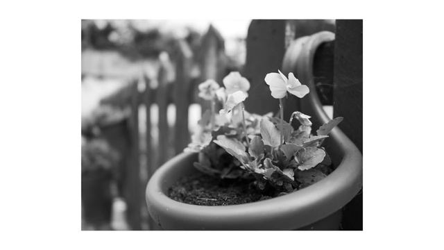 The controversial NEW Panasonic M43 Camera is a BEAST!! It's COMPLETELY misunderstood! Panasonic GX смотреть онлайн