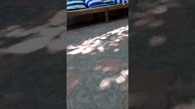 снасть для ловли пеленгаса своими руками смотреть онлайн