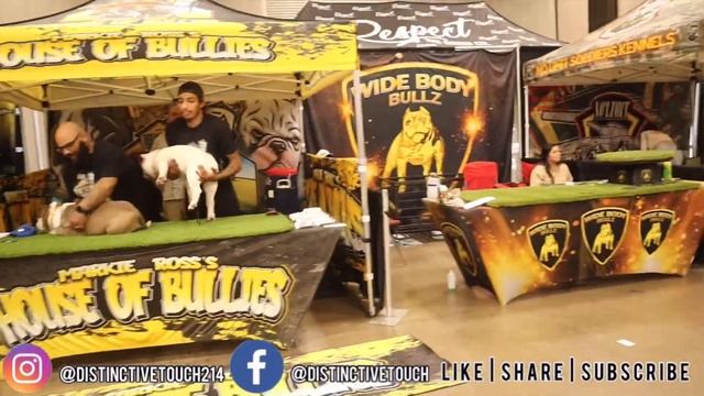 Vaydor Got Booked For Dog Show/Car Show!! смотреть онлайн
