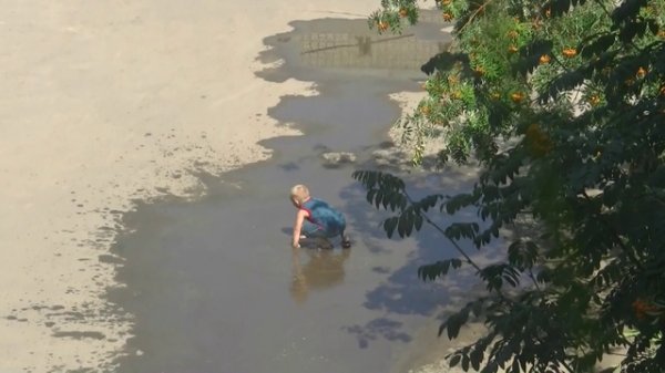 Бабушка и внук...