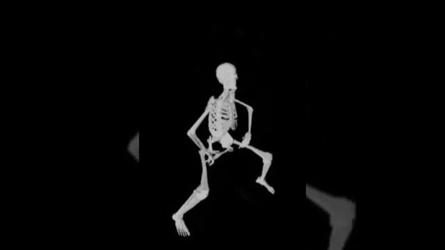 dancing skeleton (aka my outro) смотреть онлайн