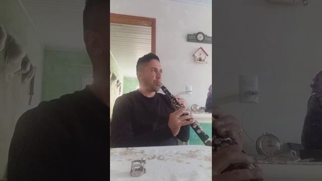 Clarinete buffet 14 chaves ebano смотреть онлайн