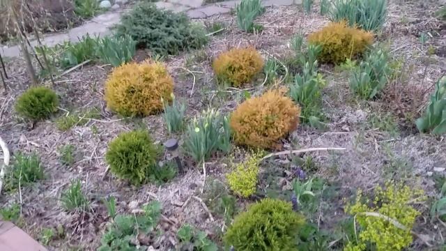 Банька и вечерний сад в мае смотреть онлайн