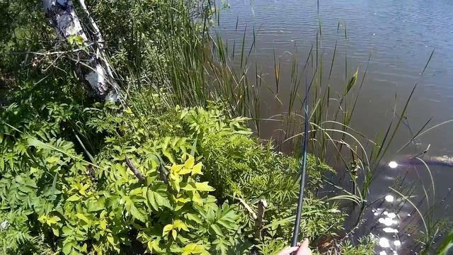 Рыбалка с сыном. Первый карась. Рыбалка с удочкой.