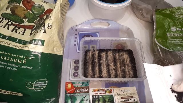 ? Как посеять рассаду ЛУКА ПОРЕЯ! Быстро и просто? смотреть онлайн