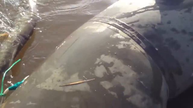 Открытие рыбного сезона в Приобье _ 2016 смотреть онлайн