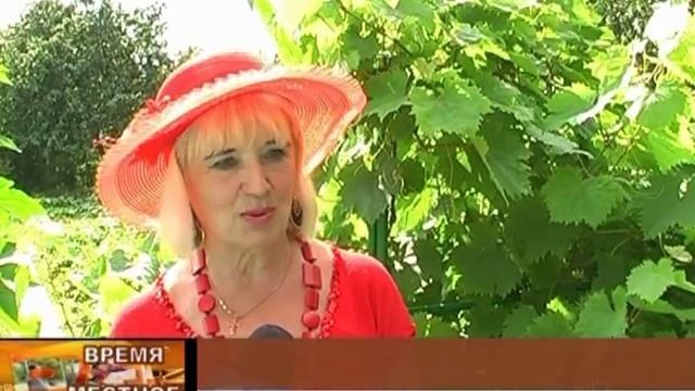 Приусадебный участок Валентины Волковой - настоящее произведение искусства! смотреть онлайн