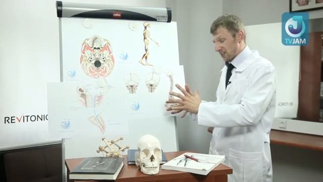 Происхождение заболеваний позвоночника, плоскостопия, варикозной болезни смотреть онлайн