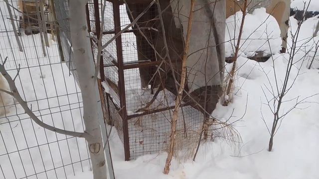 9е января. мужик за камерой - отстал от жизни!