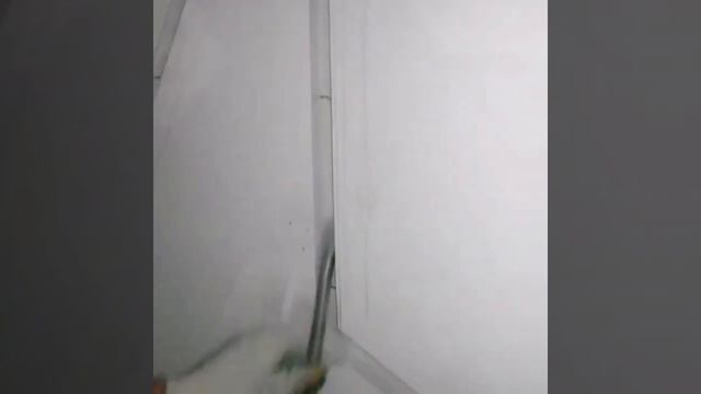 Треугольники на стене. Поталь и кузбаслак смотреть онлайн