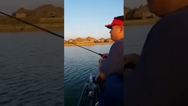 How To Catch Fish Off Your Graph Like A Video Game смотреть онлайн