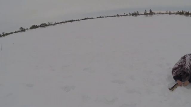 озеро Лебяжье март смотреть онлайн
