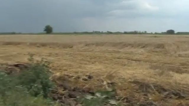С х фирма Пик Агро с Незавертайловка все свои технические силы сосредоточила на уборке пшеницы смотреть онлайн