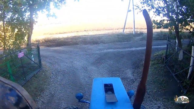 Мтз 82 и Claas Dominator 98 на уборке сои смотреть онлайн