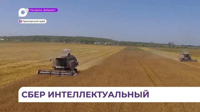 Инновационные разработки Сбера в области искусственного интеллекта внедряются во все сферы жизни смотреть онлайн