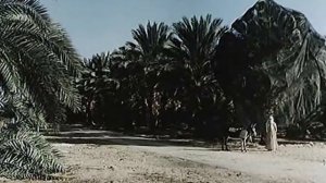 данелия в фильме данелия «паспорт»