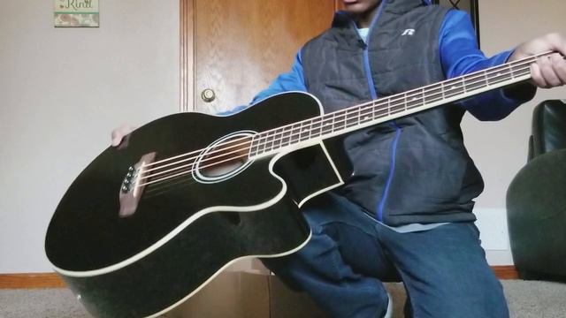 Ibanez Acoustic Bass Guitar Unboxing | NewDawn