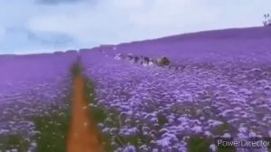 А Я НЕ ХОЧУ ЧЕТЫРЕ СТЕНЫ ..