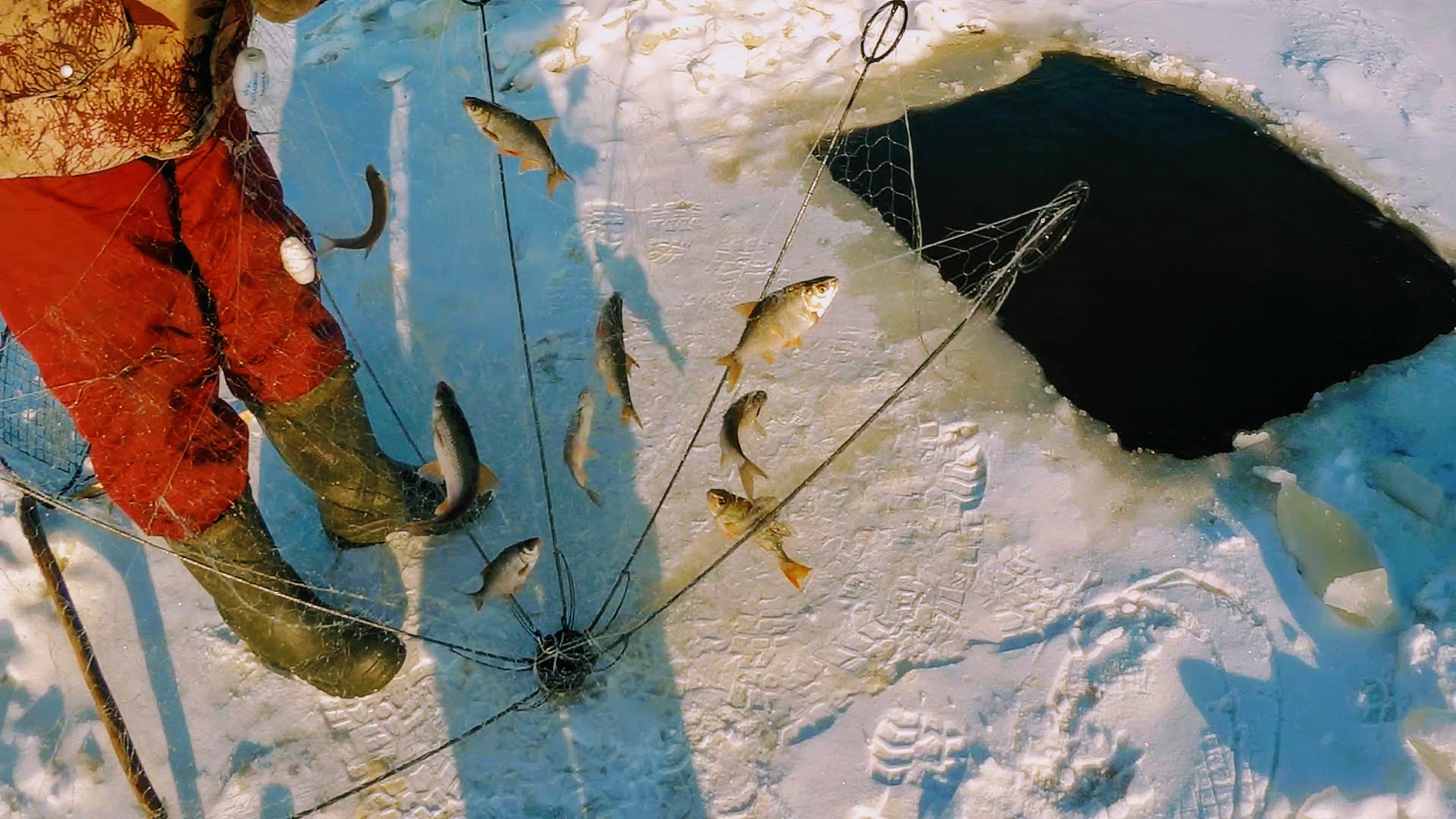 Рыбалка на хапуги в Сибирских реках!!! Рыбалка 2022!!! Супер уловистая снасть _ХАПУГА_ в деле!!! смотреть онлайн