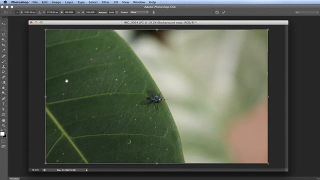 Photoshop - How to use Content Aware Scaling смотреть онлайн
