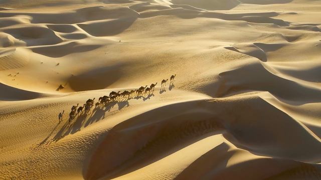 12K HDR 60FPS DOLBY VISION - DUBAI THE SHINING PEARL OF THE MIDDLE EAST - TRUE CINEMATIC смотреть онлайн