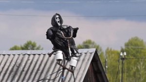 Пугало «Крик» - для защиты сада и огорода от птиц и незваных гостей!