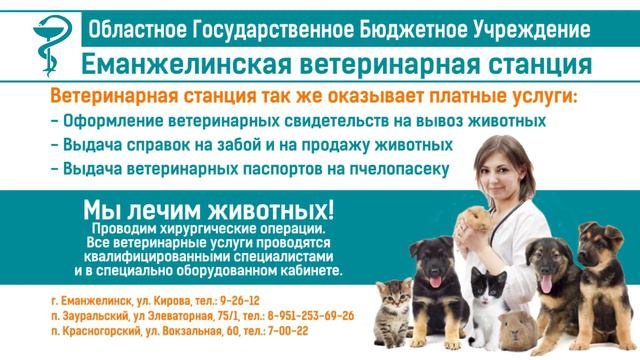 ВЕТСТАНЦИЯ смотреть онлайн