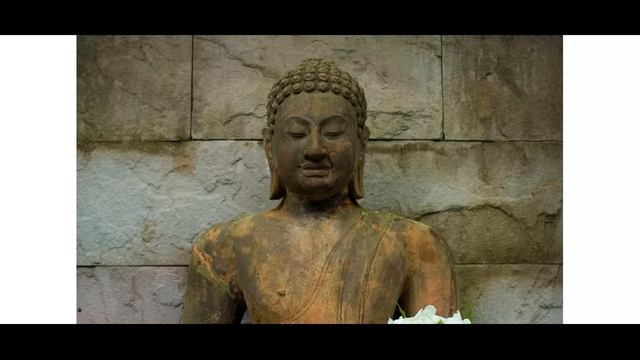 Как фотографировать цветы на стоки Shutterstock Blog. Стоковая фотография.