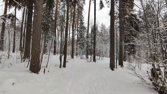 Лыжная прогулка в апреле! Лес Подмосковья. смотреть онлайн
