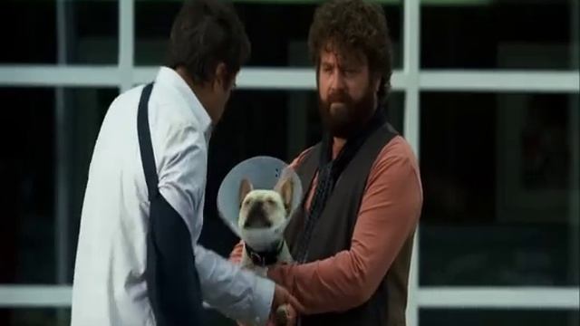 Git Başımdan ~ Due Date Robert Downey Jr Zach Galifianakis смотреть онлайн