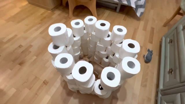 ТУННЕЛЬ и ПОЛОСА препятствий для собаки из туалетной бумаги / Флешмоб смотреть онлайн