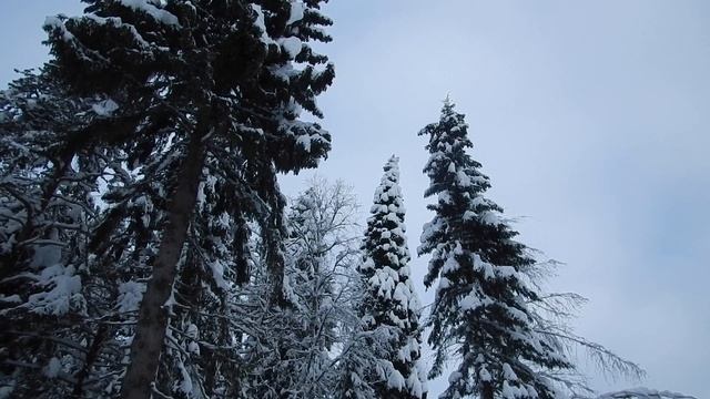Самая снежная зима в Карелии за десятки лет! Не поверите сколько навалило снега смотреть онлайн