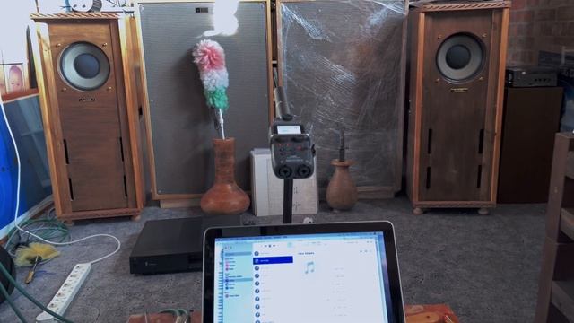 Audioquest "Pearl" + Furutech смотреть онлайн