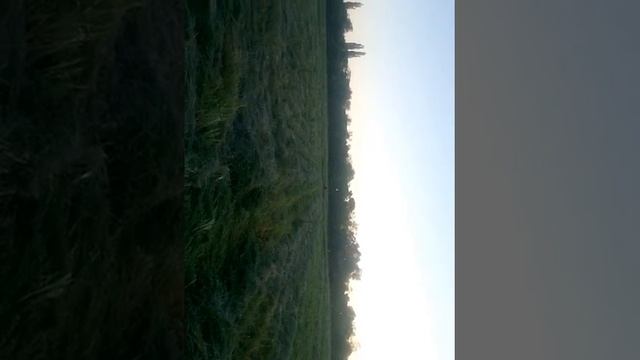 Грабли своими руками на мини трактор смотреть онлайн