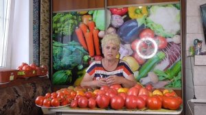 С КАКИХ ТОМАТОВ МОЖНО БРАТЬ СЕМЕНА? Ольга Чернова.