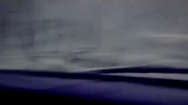 Чокнутый зверь. смотреть онлайн