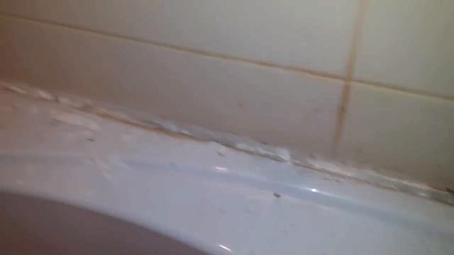 Домовладелец Мастер