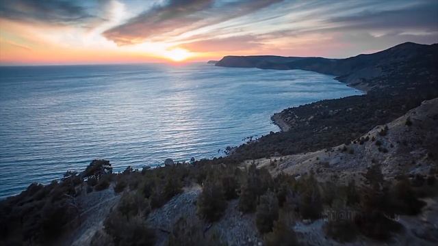 Как устроено зрение у лошади? Почему нельзя подходить справа. смотреть онлайн