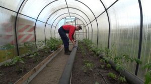 Обогрев теплицы.  Как обогреть теплицу в холода.