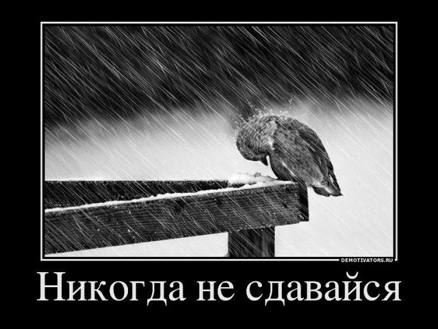 Дневник трансформации, день 17: я сдался, фото - первые результаты, в борьбе.
