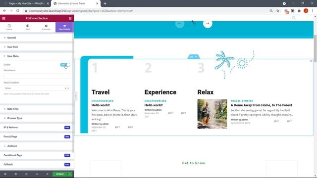 Hide Content in Elementor Widgets Based on User meta смотреть онлайн