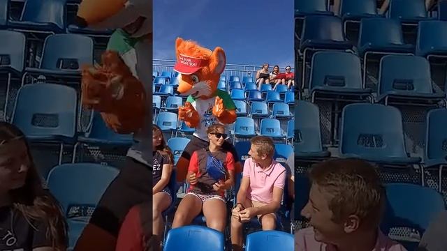 Европейские игры. Болельщики развлекают Лесика смотреть онлайн