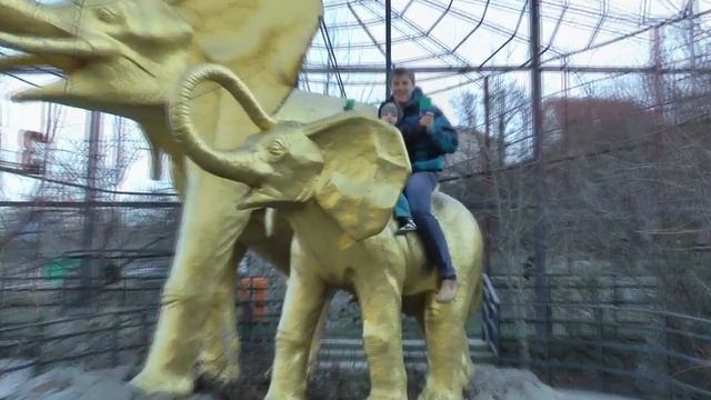 Поездка в Ялтинский зоопарк 01.12.2011.mp4 смотреть онлайн