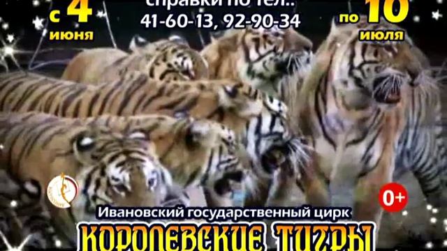 «Королевские тигры Суматры» смотреть онлайн